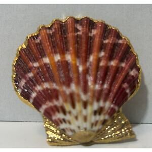 Vintage Real Scallop Shell Napkin Holder with Gold Trim & Brass Clip Back